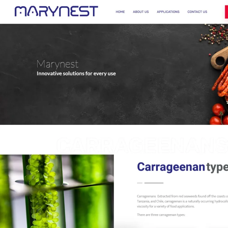 طراحی سایت مارینست