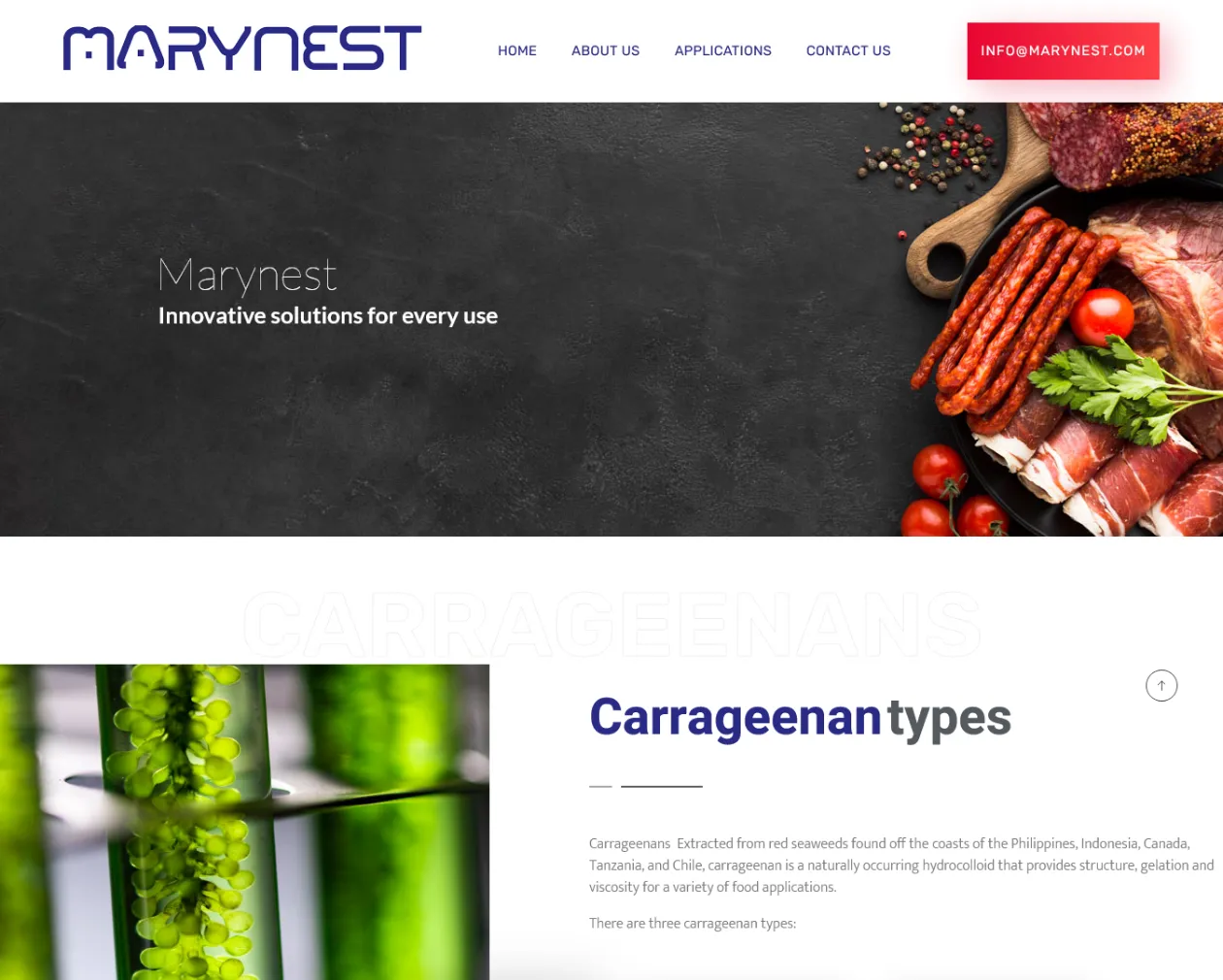 طراحی سایت مارینست