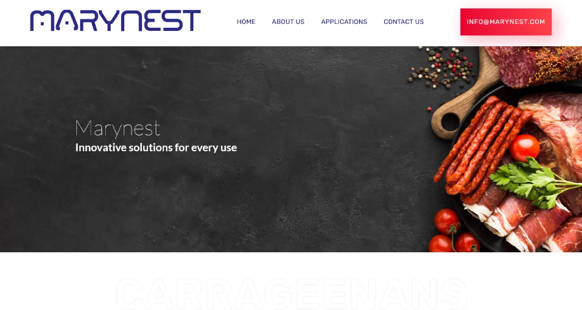 طراحی سایت مارینست